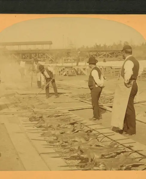 Barbecue, Atlanta Exposition