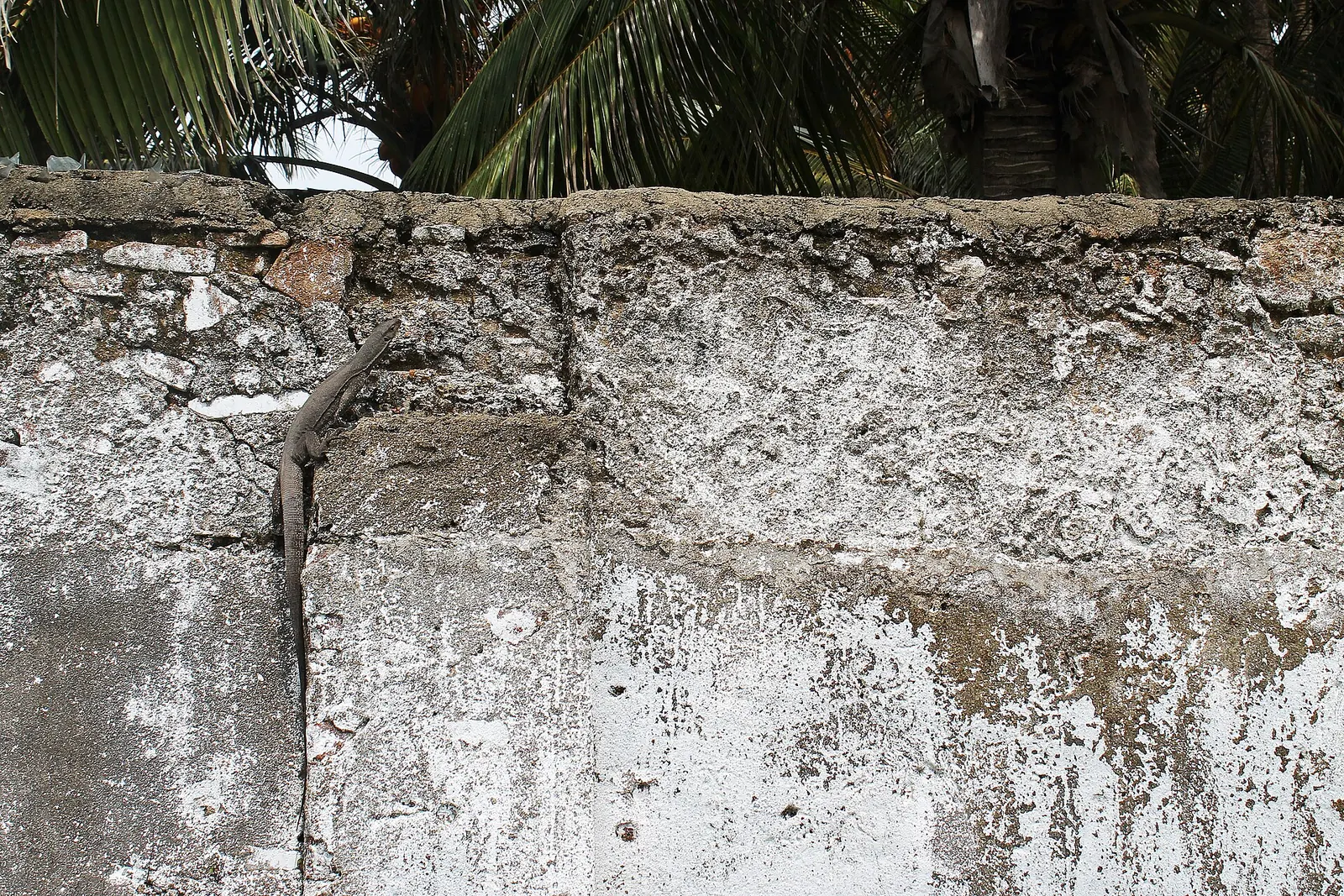 Galle Fort: Angling (8465474186)