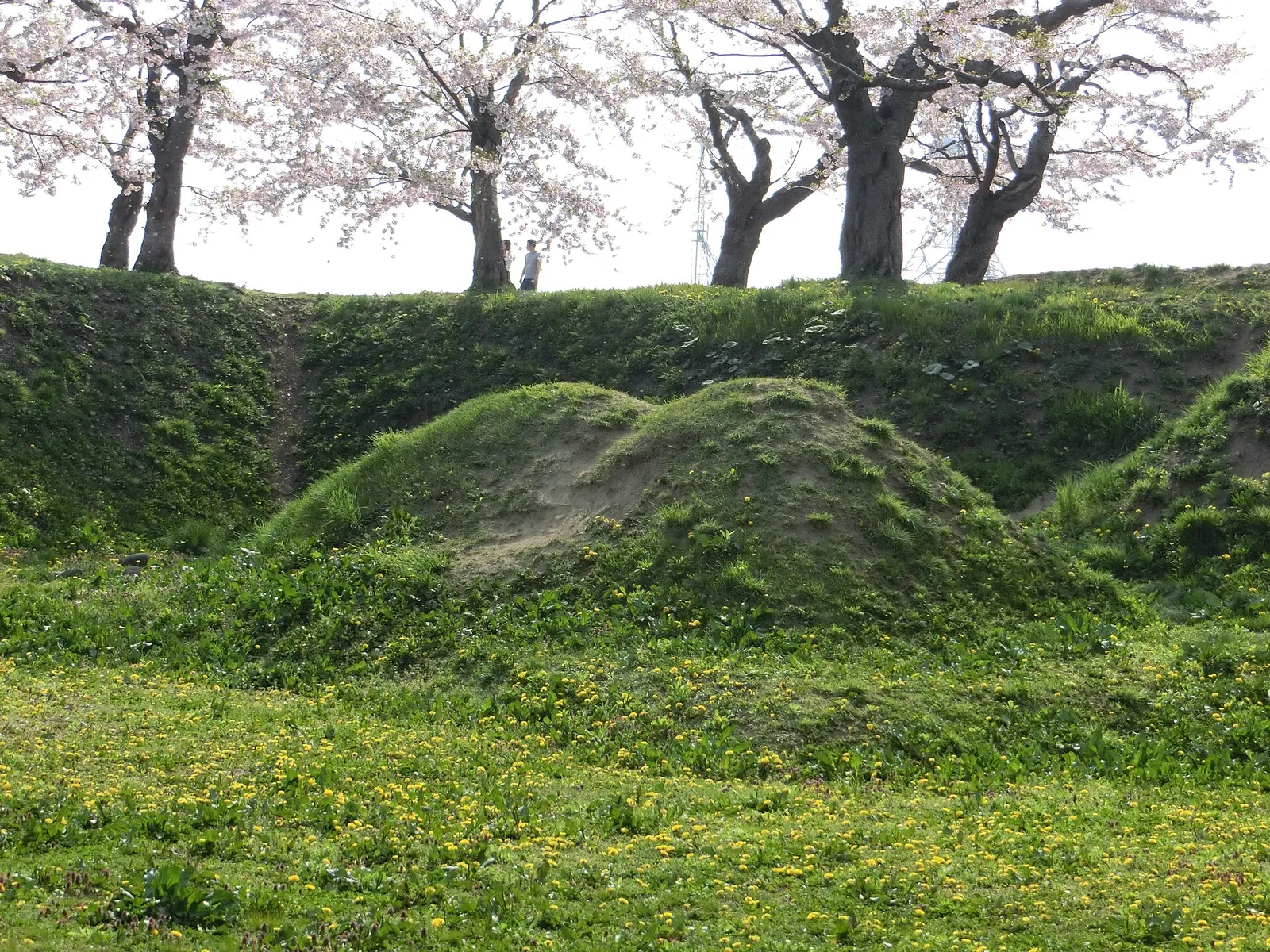 Goryōkaku: Goryokaku grabe