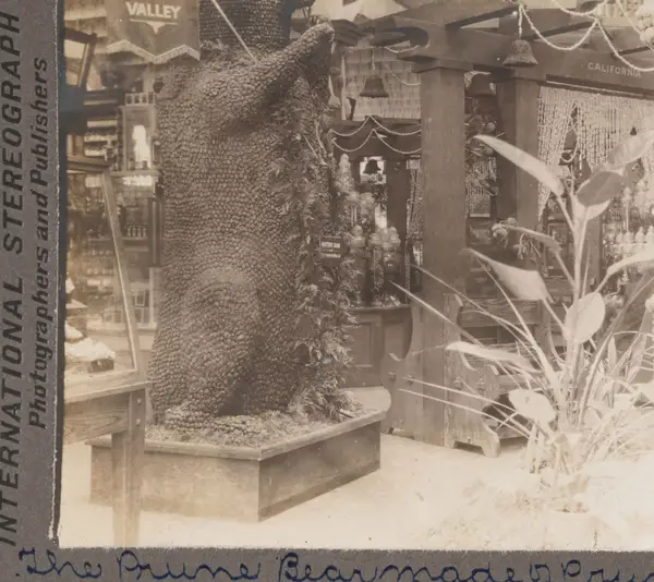 The Prune Bear, made of prunes grown in the Sacramento Valley, Calif., at the Portland, Ore. Exposition