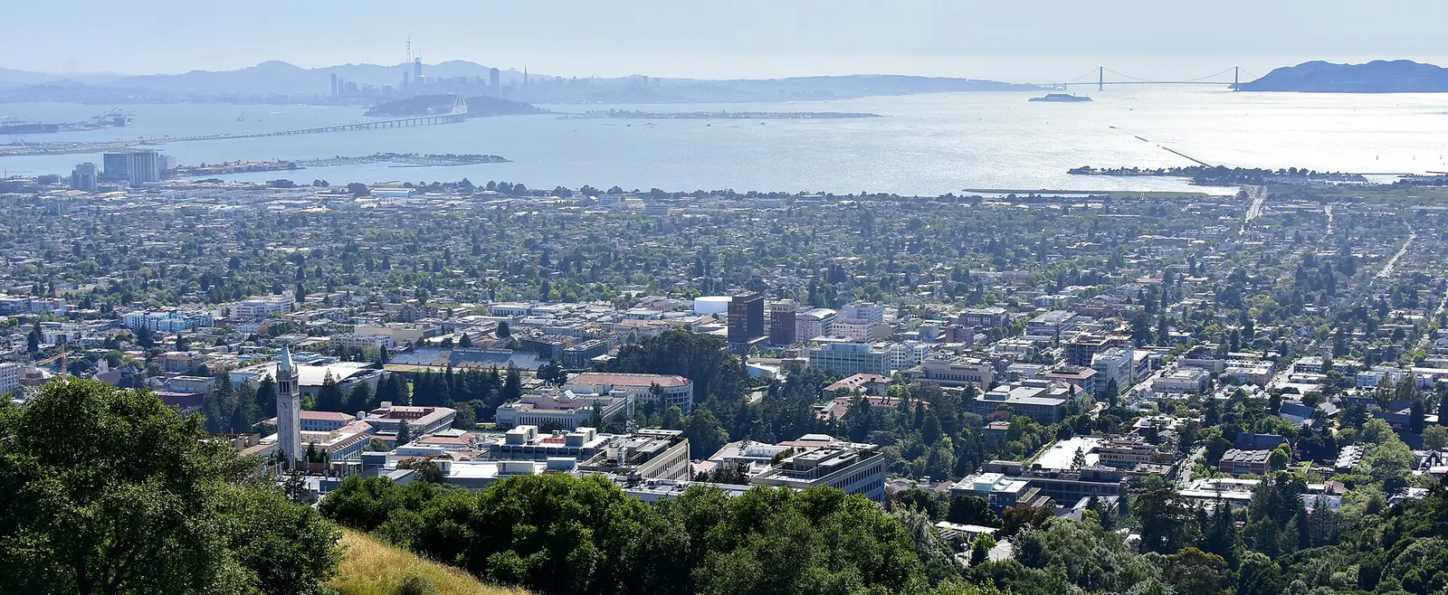 1923 Berkeley, California, fire, After: Berkeley cityscape