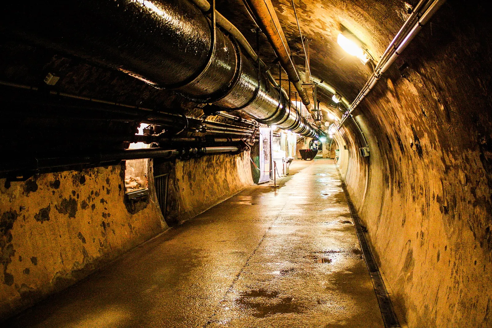 Paris sewers