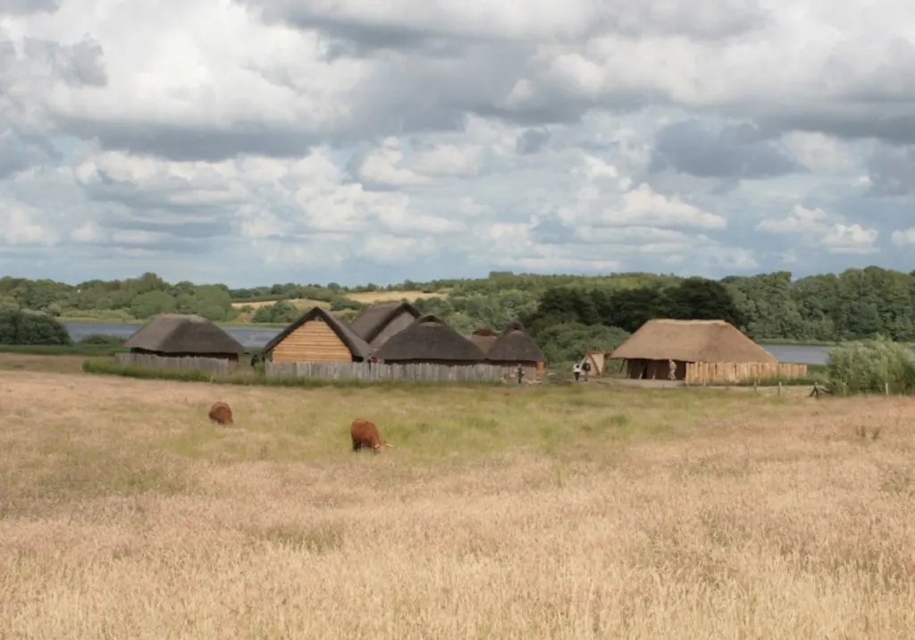 Hedeby